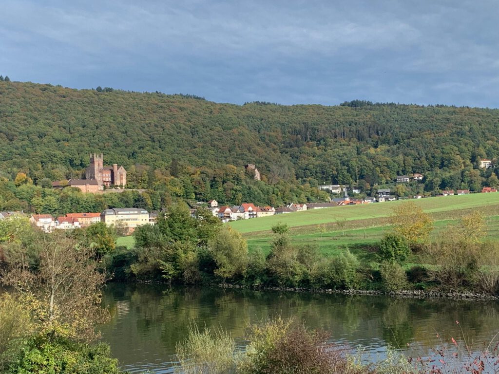 Neckarsteinach Vierburgenblick
