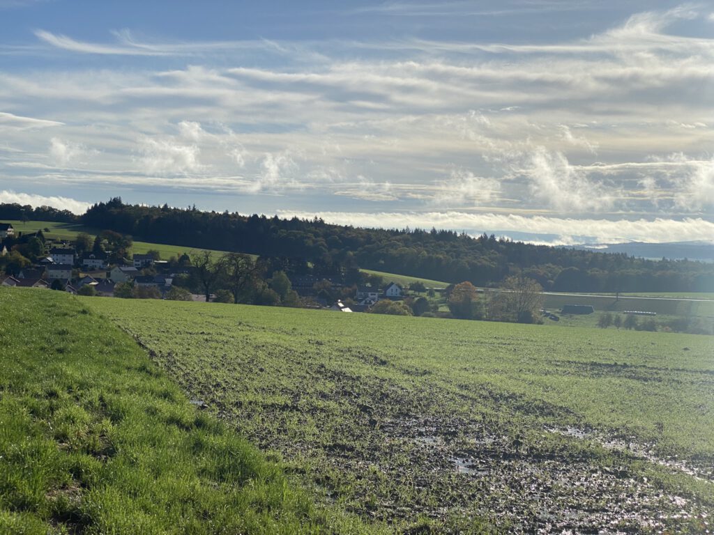 Haag